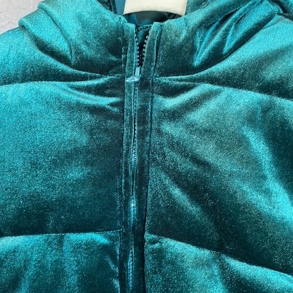 Toddler Gymboree velvet puffer jacket - Picture 3 of 11